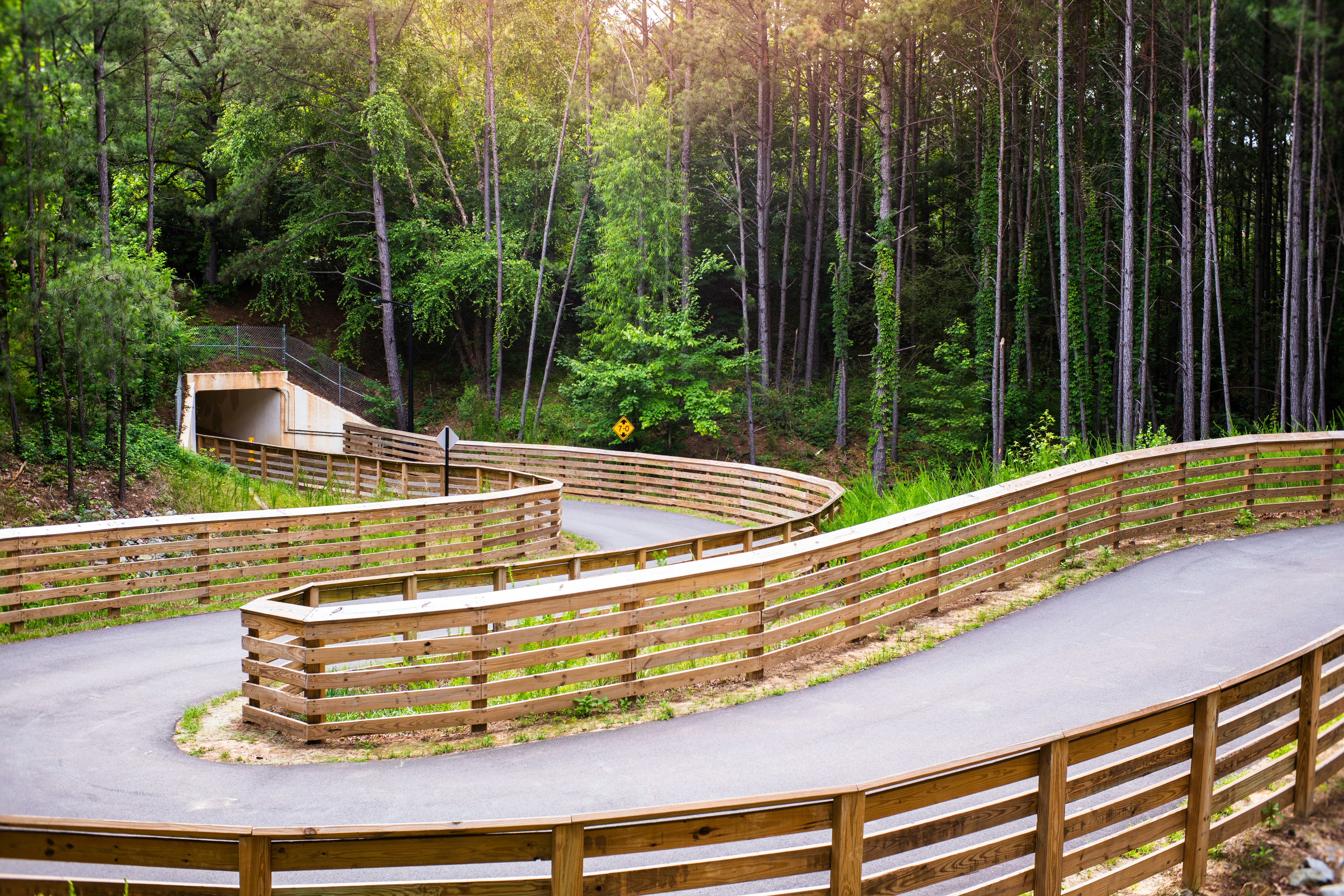 A walking track winds through a green woody area.